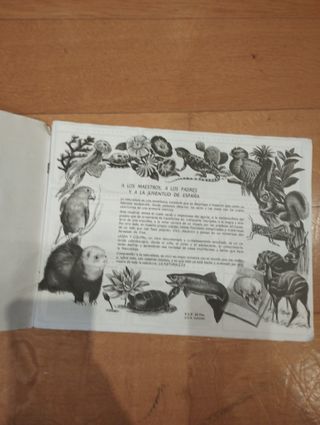 Vida y Color 1992 Álbum de cromos completo