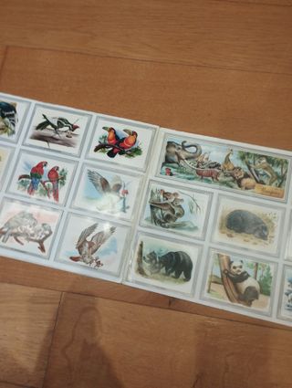 Vida y Color 1992 Álbum de cromos completo