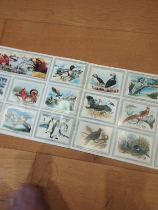 Vida y Color 1992 Álbum de cromos completo