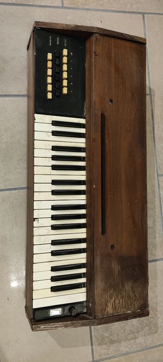 Órgano electrico