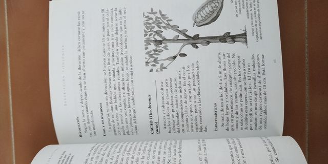 Trilogía plantas medicinales