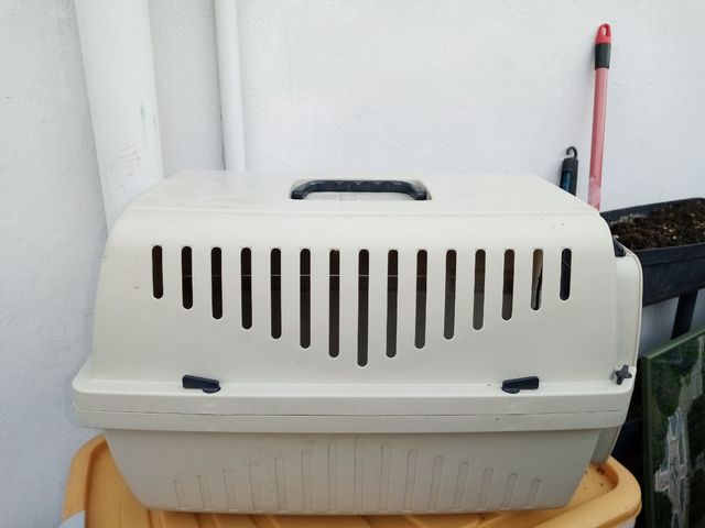 Trasportino per gatti o cani taglia