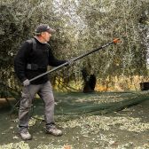 PEINE VAREADOR DE BATERIA MEDUSA PPM-10 ECHO HONDA