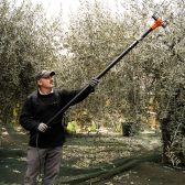 PEINE VAREADOR DE BATERIA MEDUSA PPM-10 ECHO HONDA