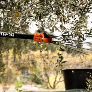 PEINE VAREADOR DE BATERIA MEDUSA PPM-10 ECHO HONDA