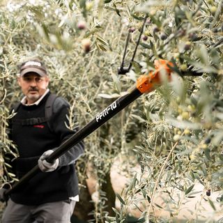 PEINE VAREADOR DE BATERIA MEDUSA PPM-10 ECHO HONDA