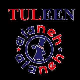 OFERTA - NEVERA AFANEH DE UNA PUERTA-TULEEN