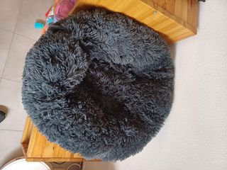 Camas para perro