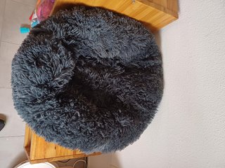 Camas para perro