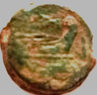 Juno República Romana, AS de AE del 211 A.C.