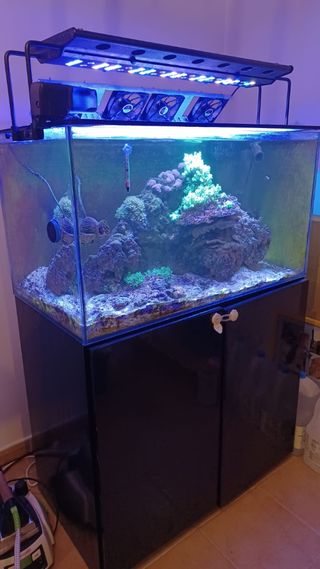 Acuario marino 230+110 litros