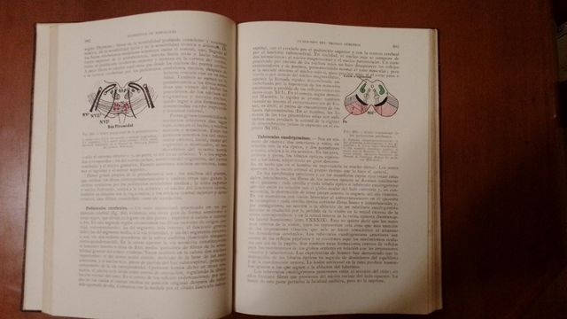 Elementos de Fisiología veterinaria.