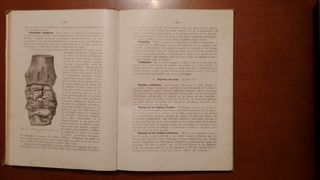 Elementos de Fisiología veterinaria.