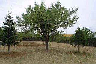 Terreno urbanizable en venta - Fuente el Saz