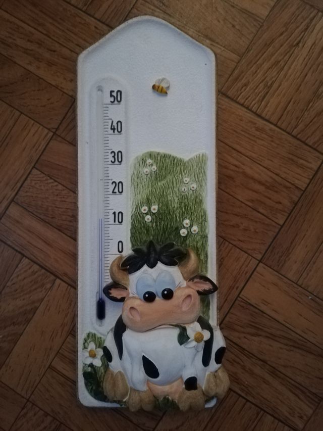 Termómetro ambiental