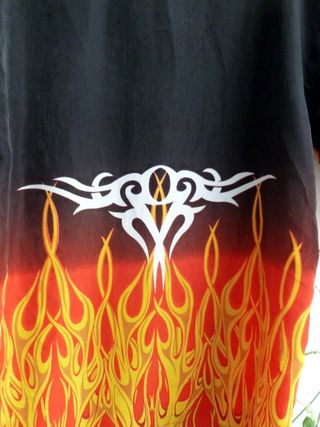 Camisa juvenil de seda