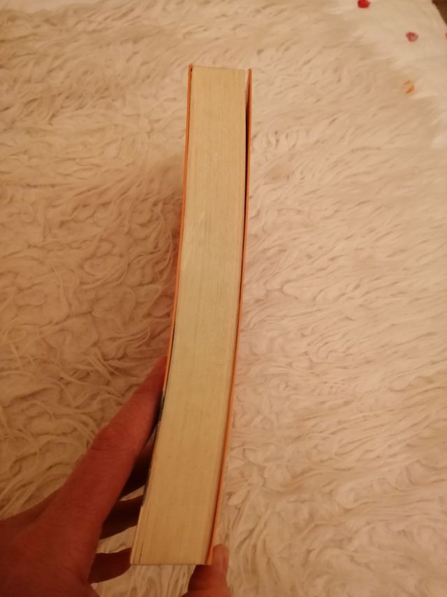 Libro "Los diarios de Nanny".