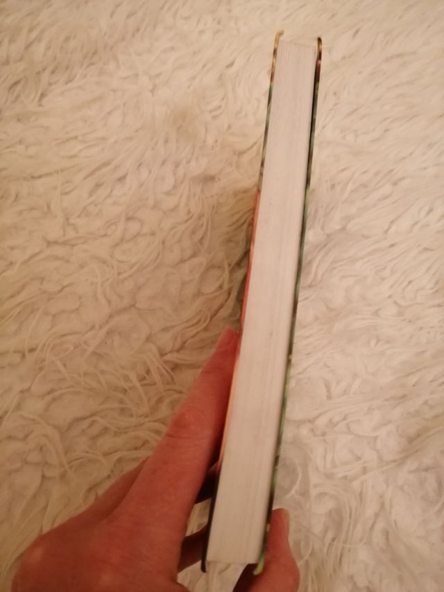 Libro "Nieve y el jinete misterioso".