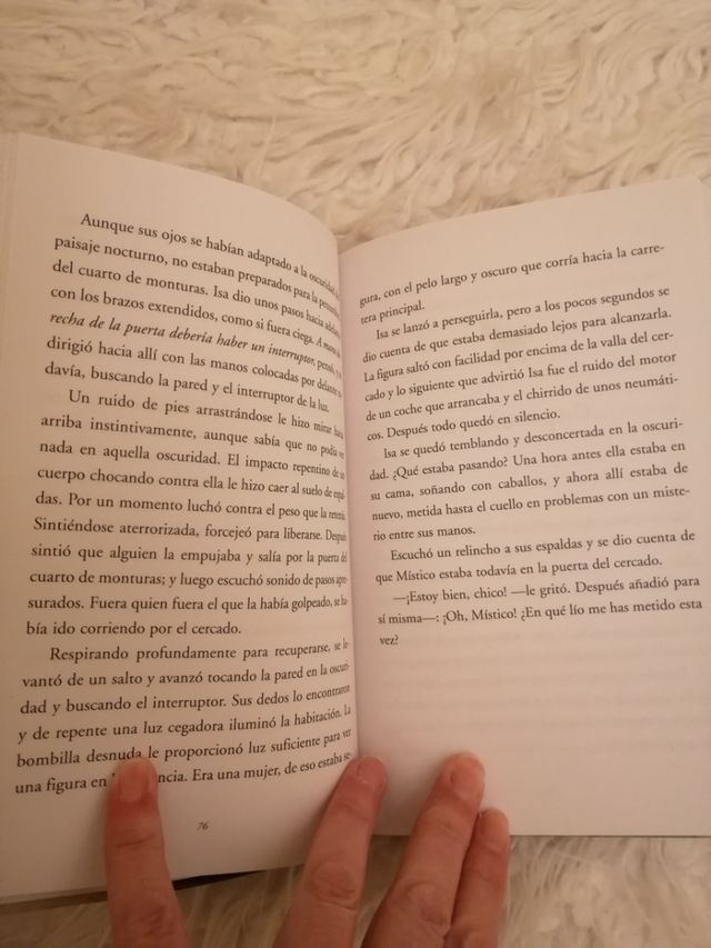 Libro "Nieve y el jinete misterioso".