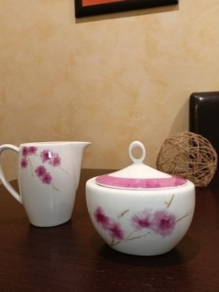 Juego de café porcelana Vista Alegre