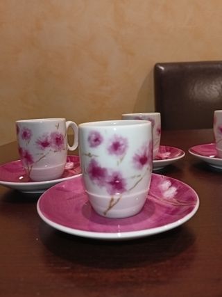 Juego de café porcelana Vista Alegre