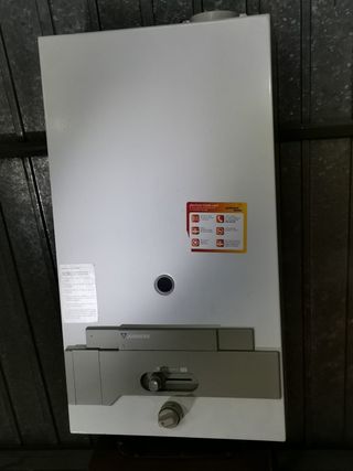 Calentador de agua a gas