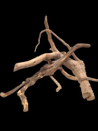 3x Troncos de Madeira Natural Para Aquários