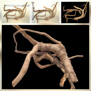 3x Troncos de Madeira Natural Para Aquários