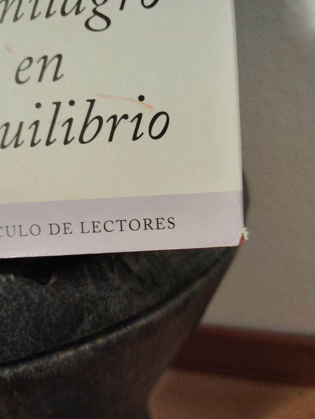 Un milagro en equilibrio. L. Etxebarría.