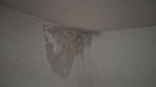 INSTALACIÓN DE CANALONES Y REPARACIÓN DE TERRAZAS