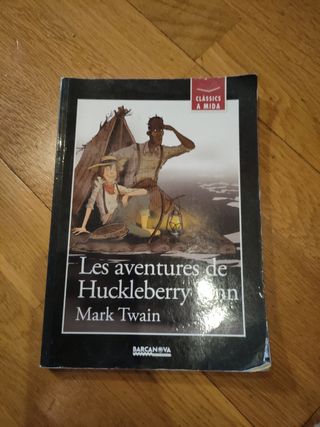 Les aventures de Huckleberry Finn