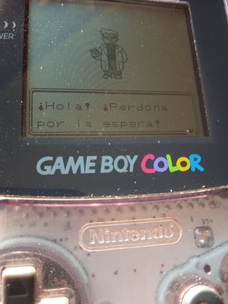 Videojuego Pokémon Edición Oro