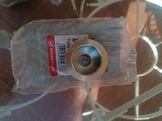 Rodamiento del alternador