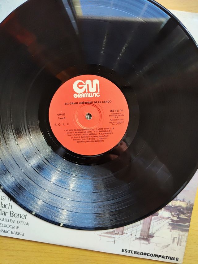 ELS GRANS INTERPRETS DE LA CANCO