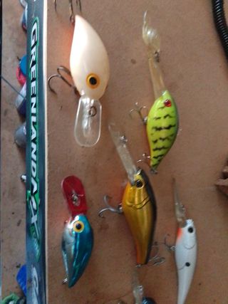 Lote crankbait