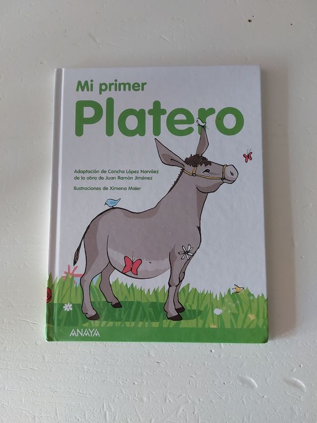Libro infantil