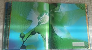 Océano. Pearson Educación