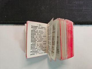 Dizionario italiano-spagnolo/Magnesia S. Pellegrin