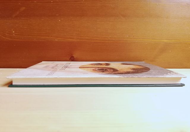 Vita brevis, Jostein Gaarder, Siruela