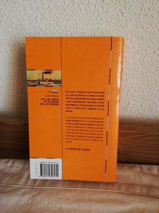 Hay un chico en el baño de las