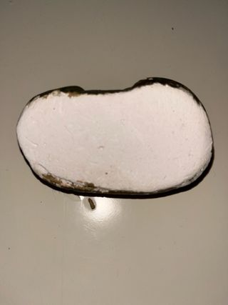 Objetos Religiosos Antiguos