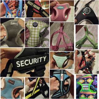 Collares para perros