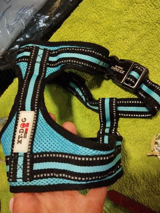 Collares para perros