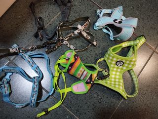 Collares para perros