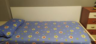 Fundas nórdicas  y cortinas 