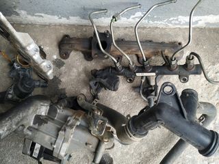 Despiece motor Ford Focus T1DA ó T1DB