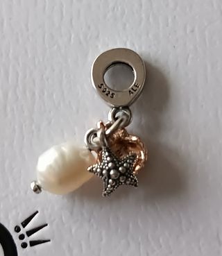 Charm de plata