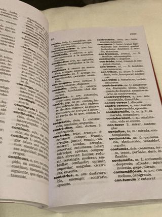 Diccionario Esencial Latino-Español