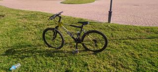Bicicleta montaña