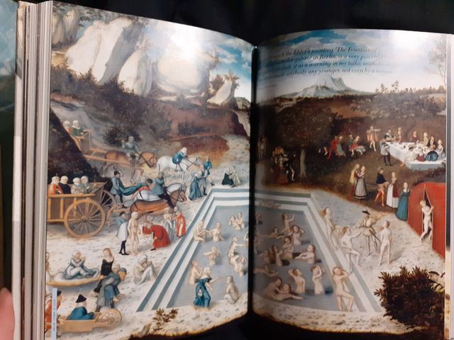 Taschen, Aesthetic Surgery 